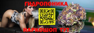 прущие крисы Пугачёв