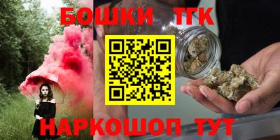 индика Пушкино