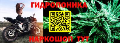 индика Пушкино