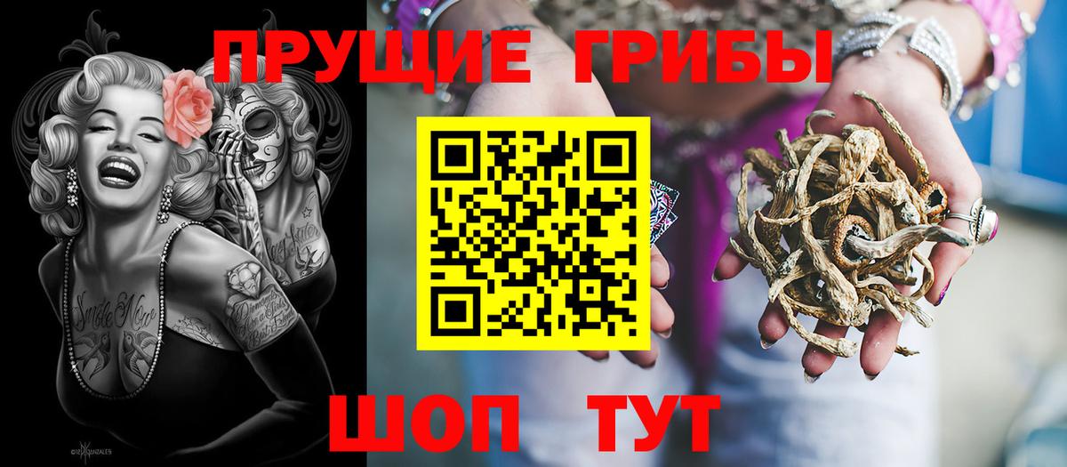 Галлюциногенные грибы MAGIC MUSHROOMS  Вход с VPN  Новотроицк 