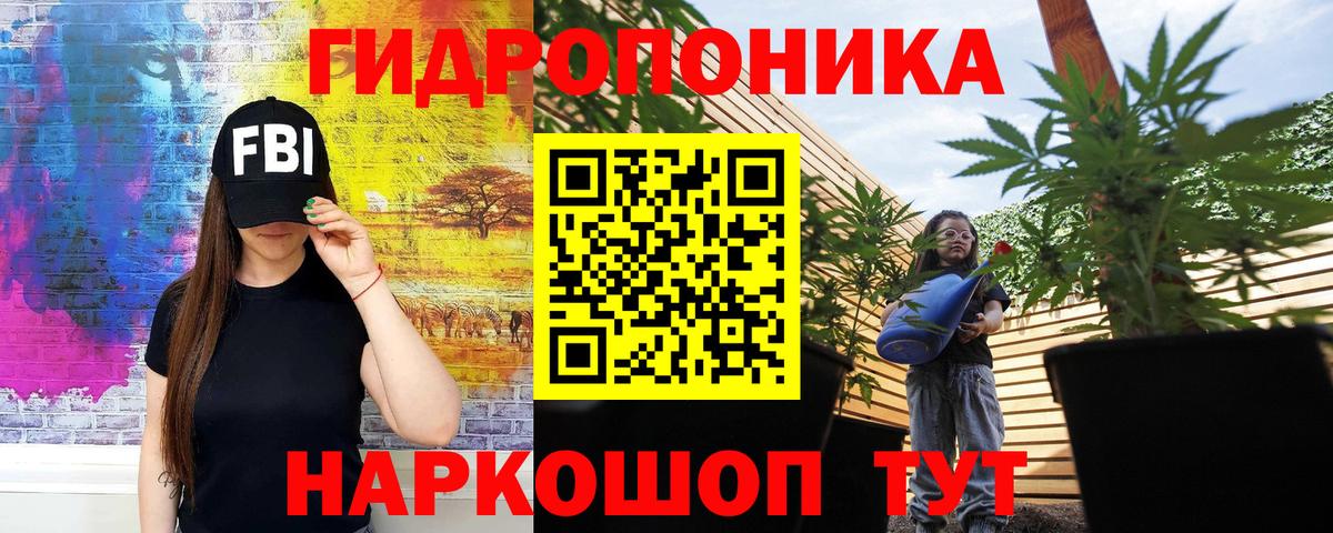 Каннабис индика Новотроицк